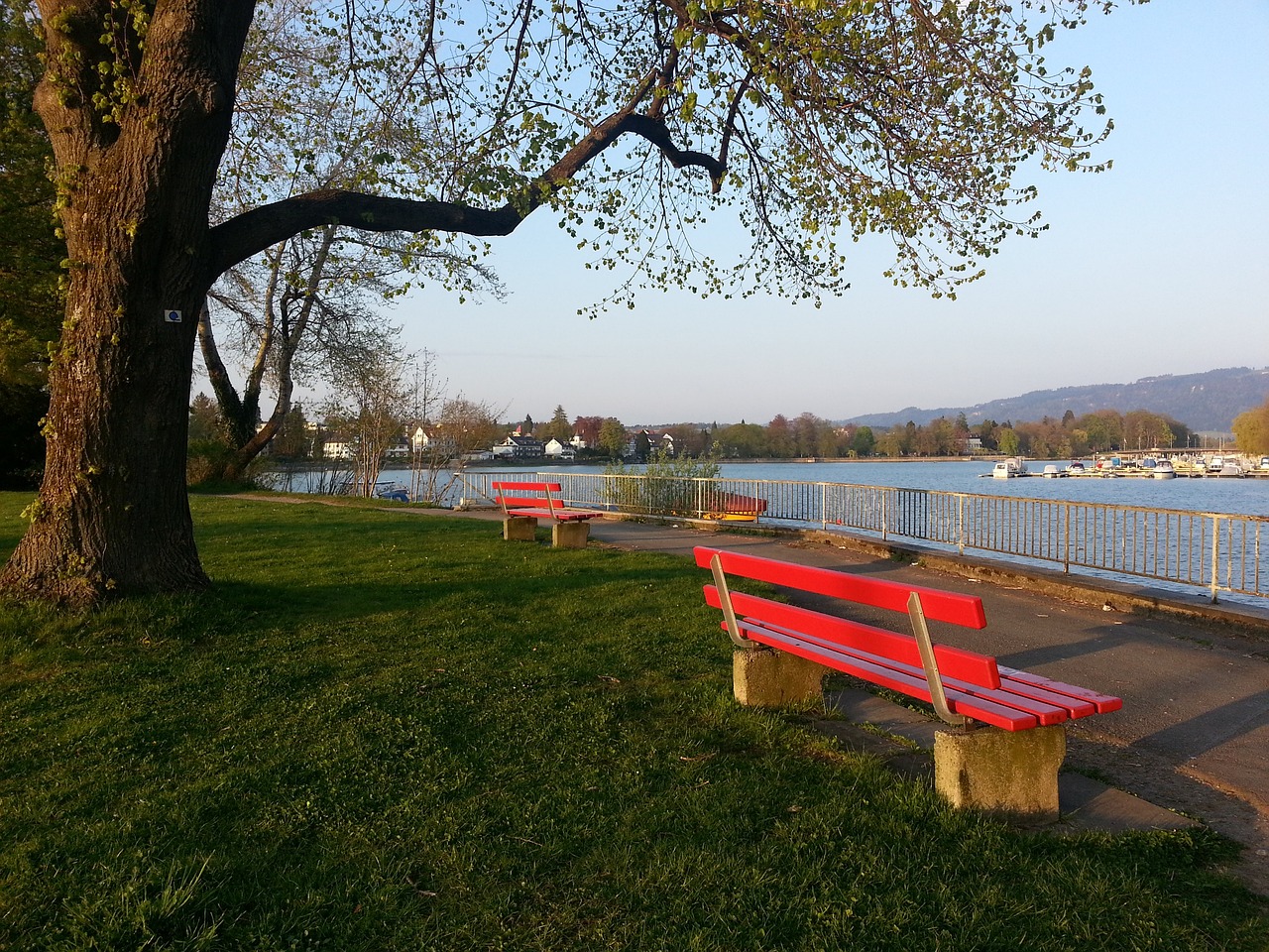 皮奥利在夺 皮奥利在夺