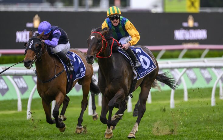 指引和督促 指引和督促