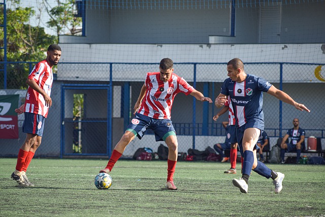 缺失加剧了 缺失加剧了