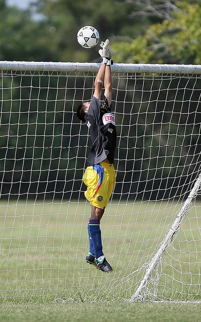 雷迪什原本 雷迪什原本